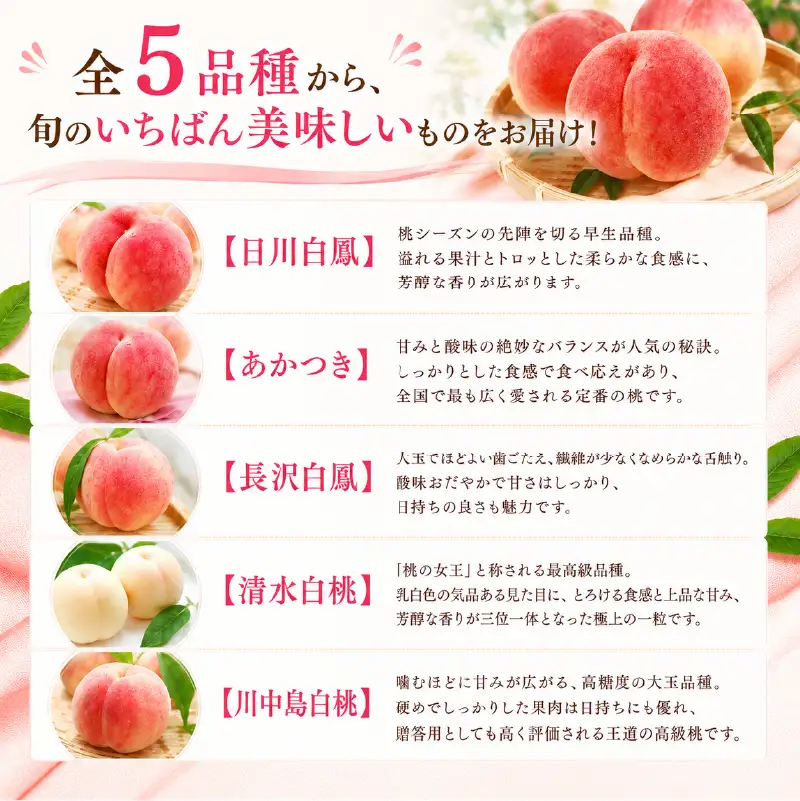 【 先行予約 】数量限定 特選 桃 5kg 桃 桃 桃 桃
