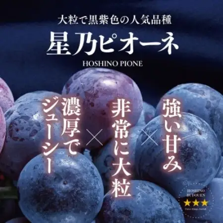 【訳あり】星乃ピオーネ 3房～5房(2kg以上)【配送不可地域：離島・北海道・沖縄県】【1740016】