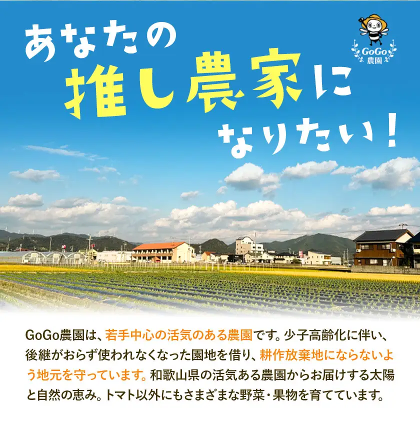 紅八朔 厳選 Lサイズ 約10kg GOGO農園 八朔
