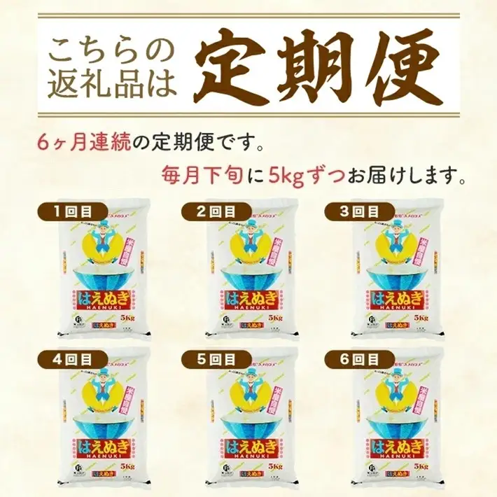 SH0092　9月下旬発送開始／【6回定期便】［精米］米屋自慢のはえぬき　5kg×6回(計30kg) TO