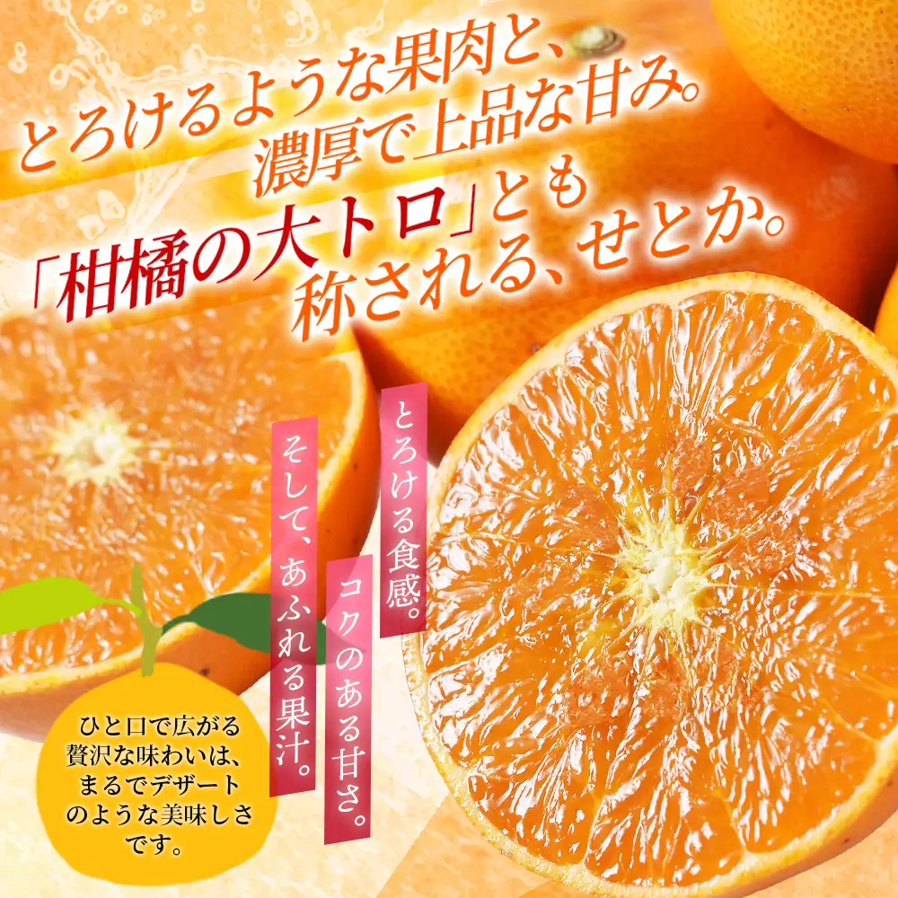 せとか 笹本農園のせとか 約5kg M～2Lサイズ混合 みかん【ssmt0002】