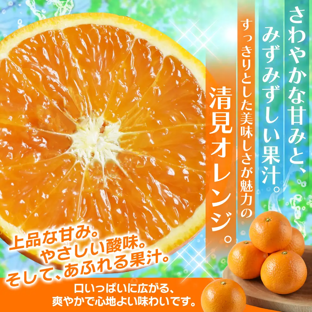 みかん 笹本農園の清見オレンジ 約5kg M～2Lサイズ混合 みかん【ssmt0003】