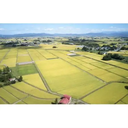 令和7年産　山形県産　つや姫　無洗米　2kg【1746639】