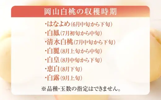 贈答用 （ 赤秀 ） 岡山白桃 約1.5kg もも 桃 モモ 白桃 くだもの 果物 フルーツ 果実 果汁 果肉 岡山県産 旬 ギフト プレゼント 贈り物 贈答品 【 2026年6月下旬～9月上旬迄順次発送予定 】