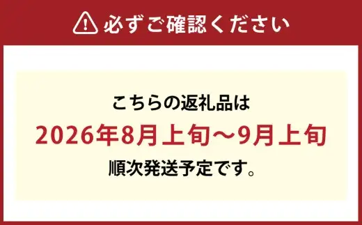 【 ご家庭用 】 岡山の黄桃 約1.3kg以上 もも 桃 モモ 黄桃 くだもの 果物 フルーツ 果実 果汁 果肉 岡山県産 旬 【 2026年8月上旬～9月上旬迄順次発送予定 】