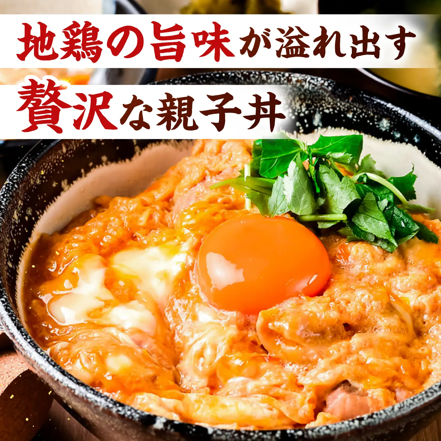 はかた地どり 親子丼セット 10食入 桂川町/株式会社 福栄組合[ADCH002]