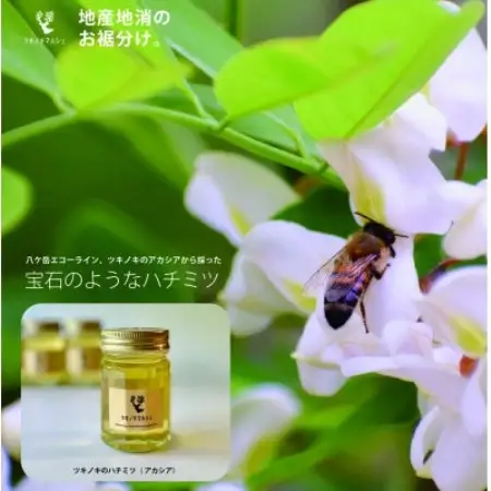 [八ヶ岳泉野]ツキノキマルシェのハチミツセット「アカシアと百花」八ヶ岳西麓の希少品【1745834】