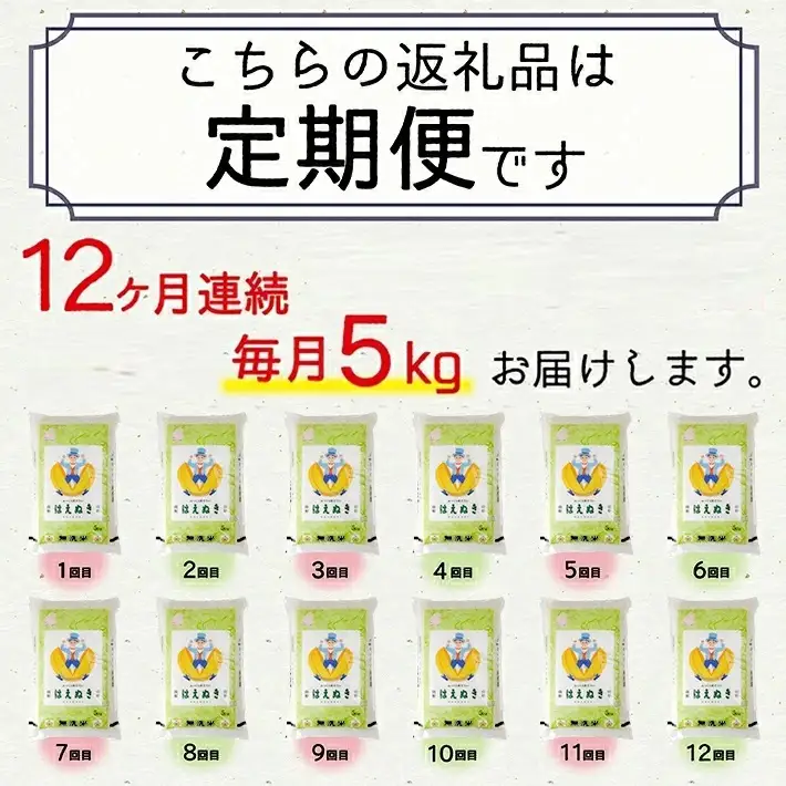 SP0018　7月下旬発送開始／【12回定期便】無洗米 はえぬき　5kg×12回(計60kg) TO