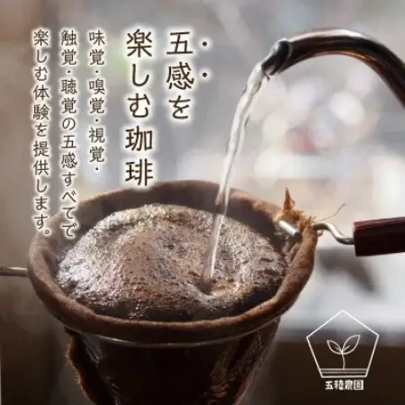 五稜珈琲 ブルーマウンテン100g×2袋【豆タイプ】【1742471】