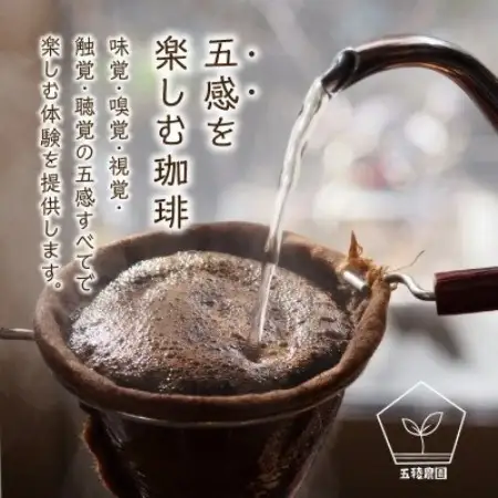 五稜珈琲 ブルーマウンテン100g×2袋【粉タイプ】【1742475】