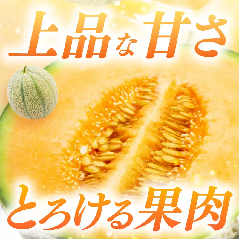 【先行予約】藤重農園自慢のマルセイユメロン 2～3玉（合計約3kg）※2027年6月中旬以降順次発送 [aw083-a005]