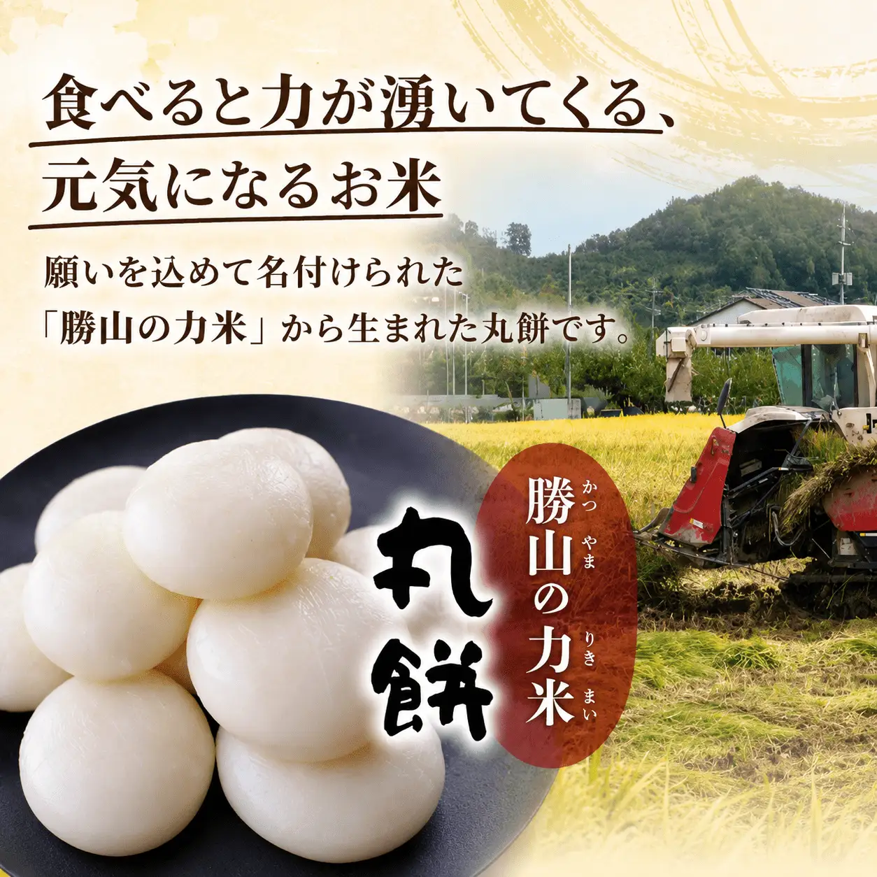 【岡山県真庭市】勝山の力米 丸餅 360g（約11個）×3袋 / 餅 もち 丸もち 個包装 食べ切りサイズ 長期保存 真庭産 ヒメノモチ ひめのもち 【mwgk003-01】