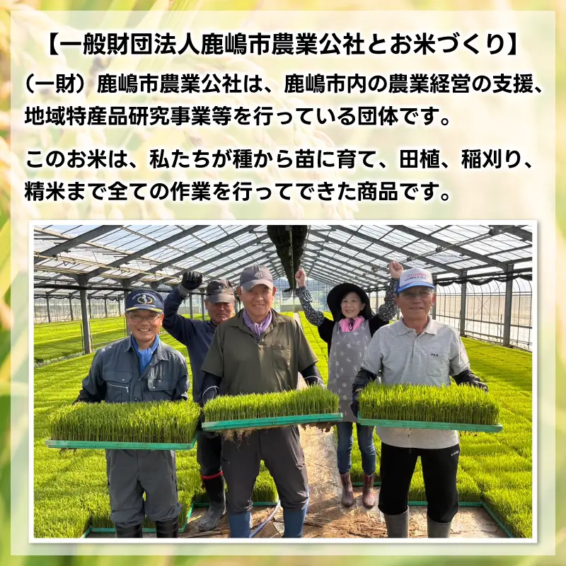 新米 こしひかり 玄米 5kg 新米 【令和8年産 先行予約限定】