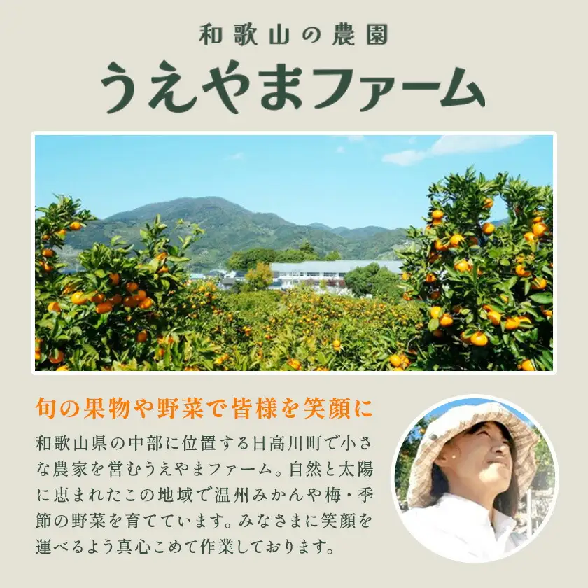 うすいえんどう 約2kg うえやまファーム《2027年4月上旬-5月下旬頃出荷》