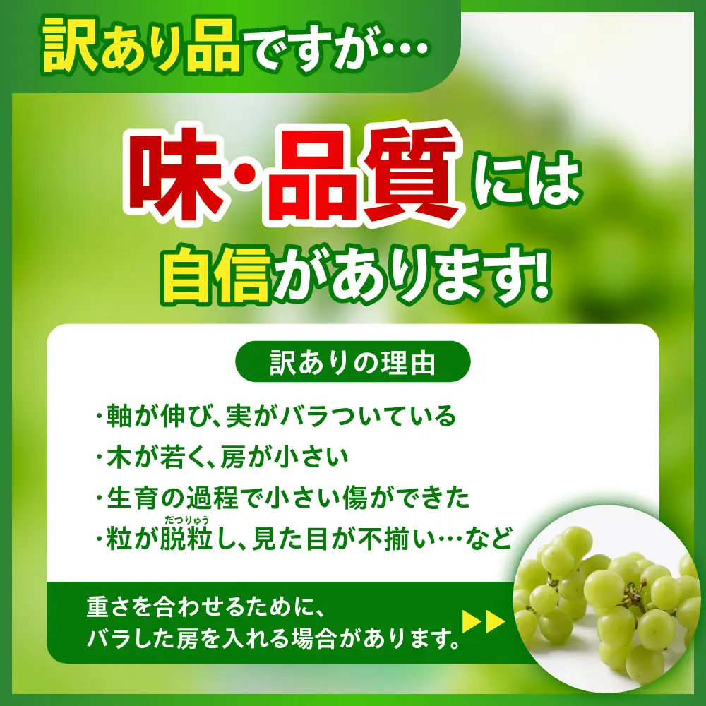 【先行予約】 令和8年産 訳あり シャインマスカット 500g 2026年9月上旬頃～お届け予定