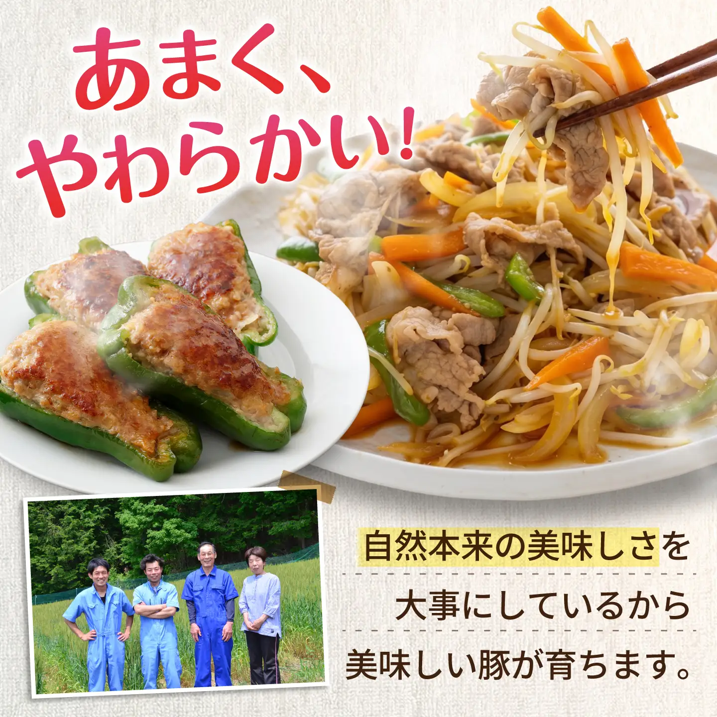《バラ凍結》豚肉 バラエティセット 3種 計940g 藤井ファーム[AWAF108]豚肉セット