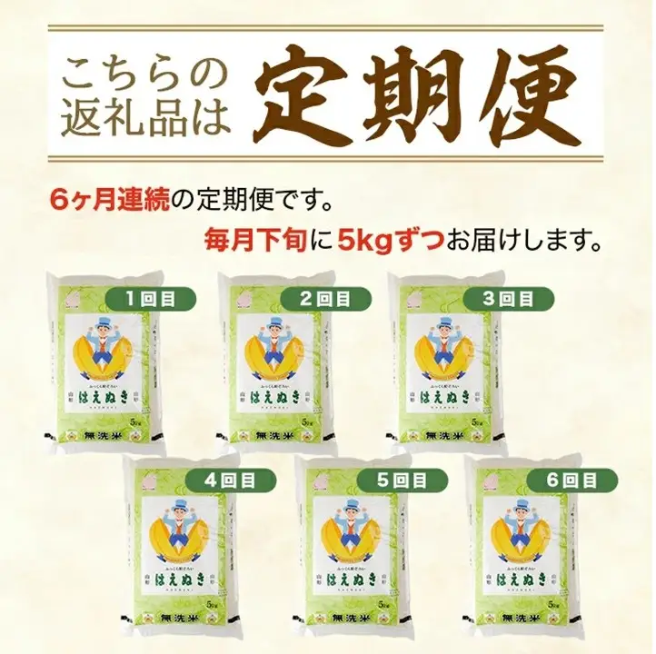 SH0077　9月下旬発送開始／【6回定期便】無洗米 はえぬき　5kg×6回(計30kg) TO