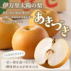 178-B1070 伊万里梨「あきづき」（2.5kg）