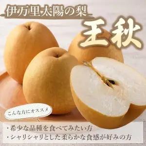 178-B1071 伊万里梨「王秋」（2.5kg）