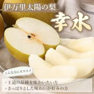 178-B159 伊万里梨「幸水」化粧箱入（2.5kg）