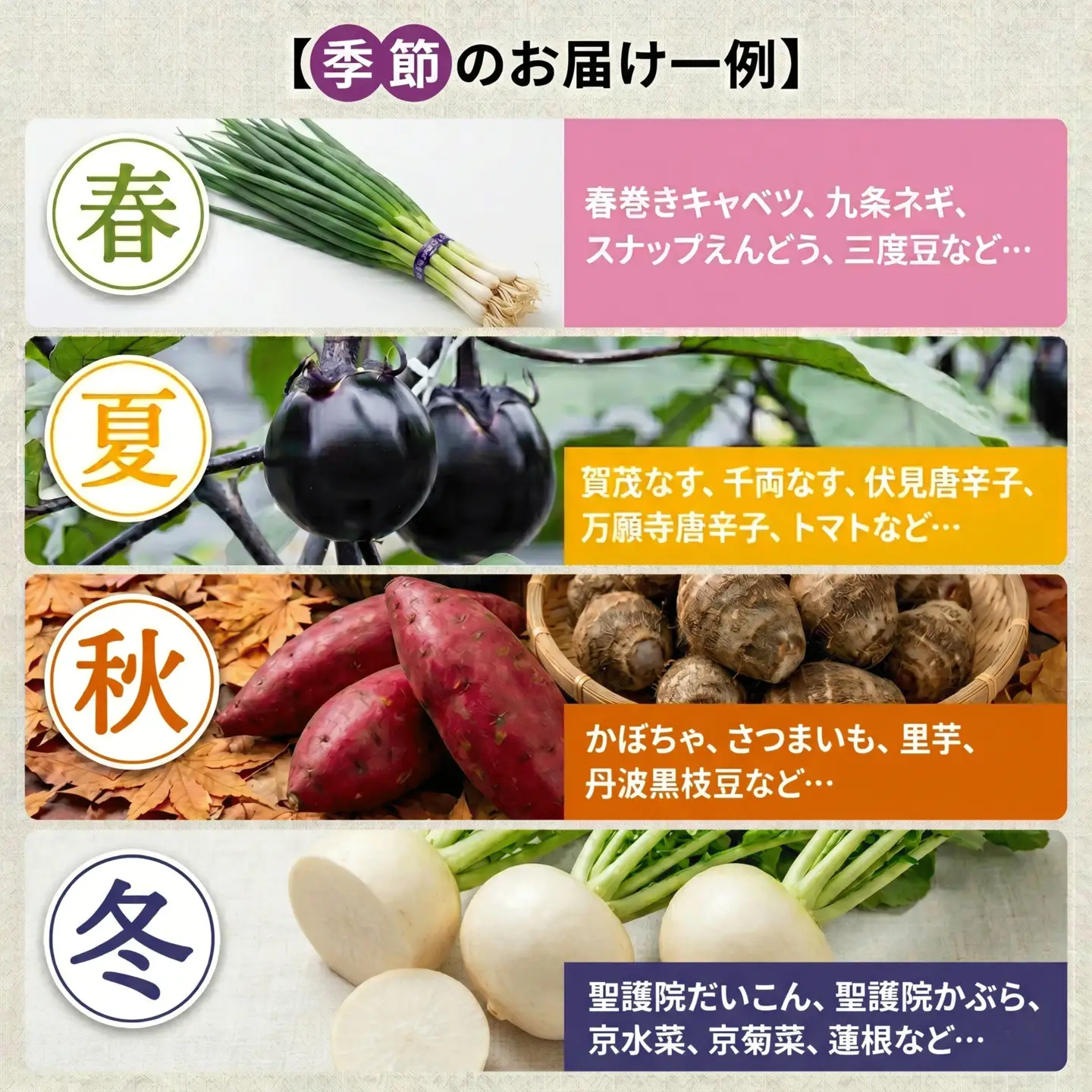 京野菜セット 4~6種 レギュラーコース 野菜セット 野菜詰め合わせ 京野菜 