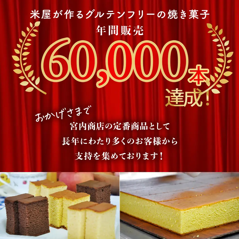 四万十の米粉カステラ【龍馬の太鼓判】 プレーン半斤1本 カステラ グルテンフリー スイーツ ／Bmu-80