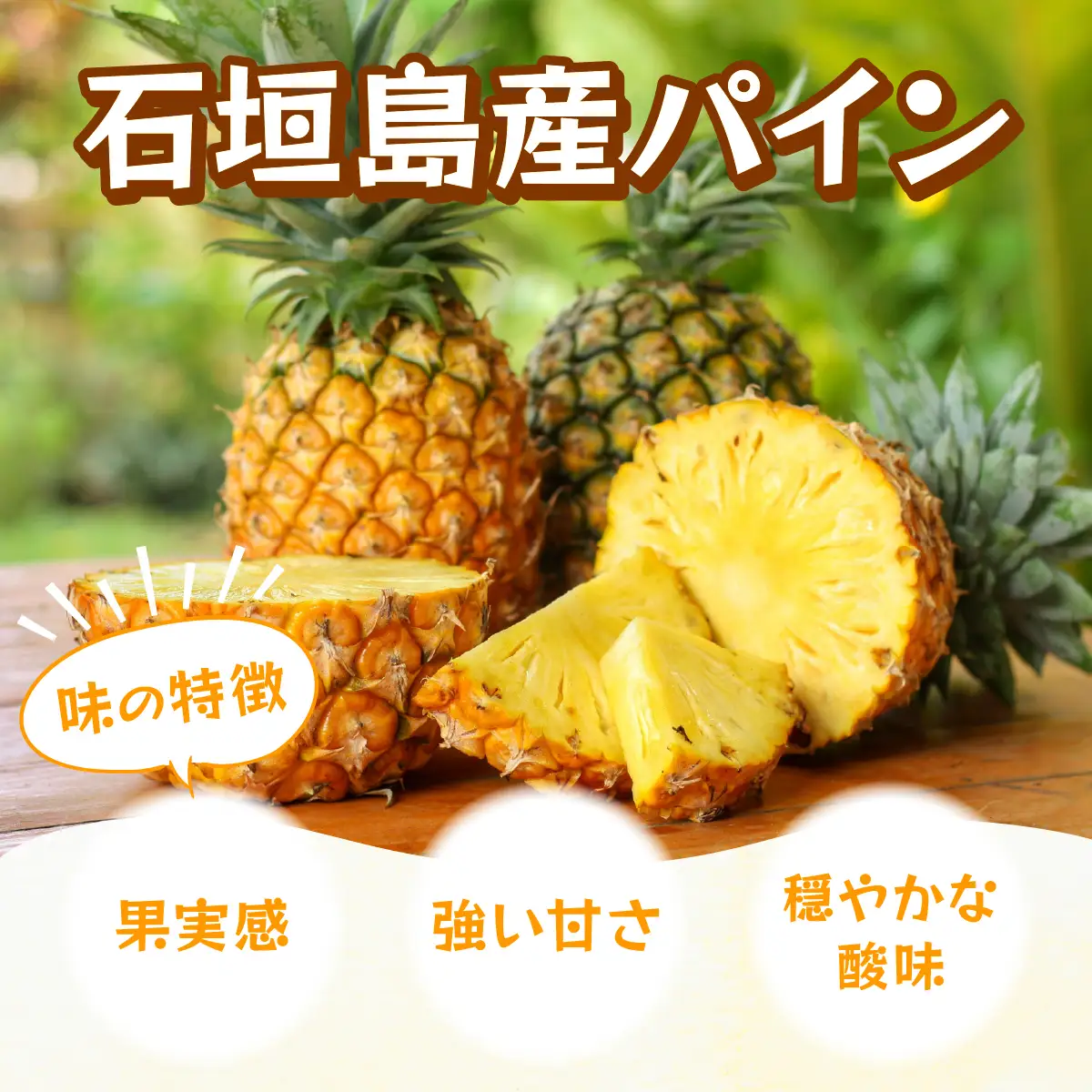 石垣島パイン(ハワイ種またはピーチパイン) 7~10個(約7kg) 【2026年6月中旬頃より順次発送】