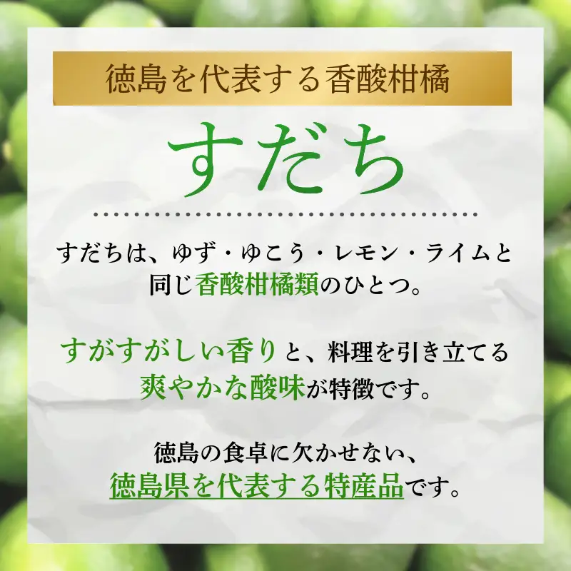 先行予約 【6月中旬～8月上旬まで順次発送】ハウス すだち 1kg