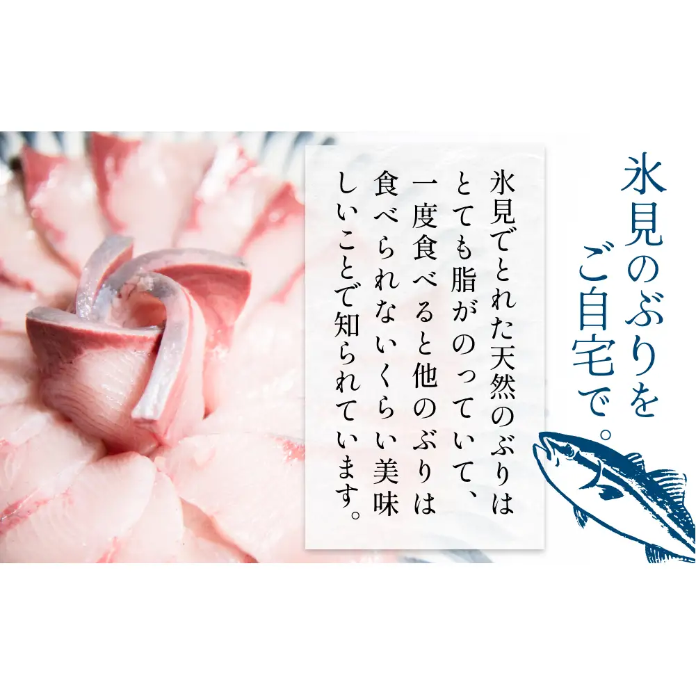 氷見産 天然寒ぶり しゃぶしゃぶ用 250g 富山県 氷見市 ブリ ぶりしゃぶ 鍋