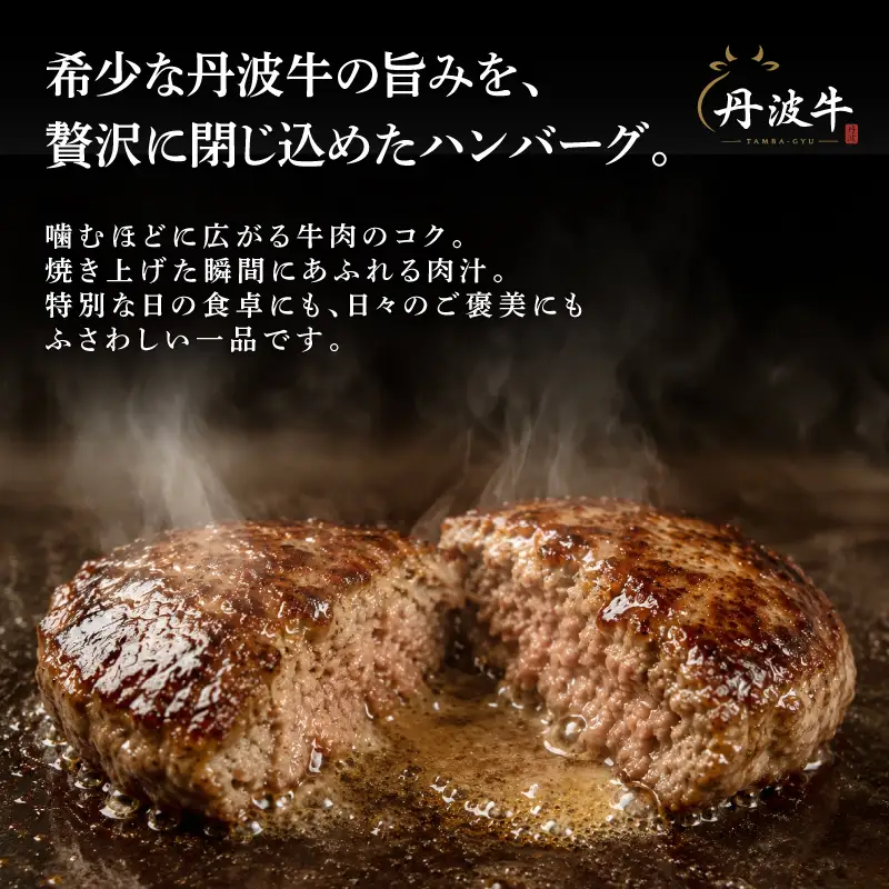 黒毛和牛 ハンバーグ 10個（合計2.0kg） 【ハンバーグ】