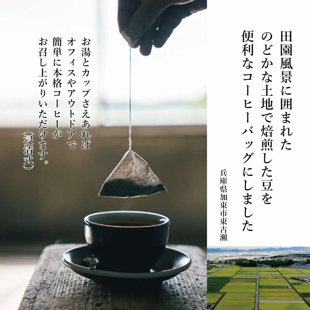 コーヒーバック10個アソート[ cafeBB 東風 cochi 珈琲 プレゼント ギフト お祝い 兵庫県加東市 加東市 ]