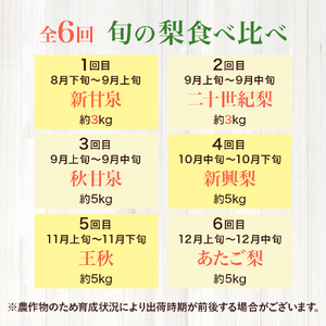 【先行予約】 梨王国2026 旬の梨 食べ比べ 全6回 定期便 合計約28kg（鳥取県産）