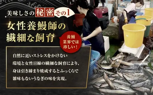 【7月13日までの入金確認で土用の丑の日までにお届け】めぐみうなぎ 紅白 4尾 セット うなぎ 鰻 ウナギ 魚類 うな重 うな丼 晩ごはん 惣菜 おかず 贅沢 冷凍 国産 大阪府産 養殖 無投薬 