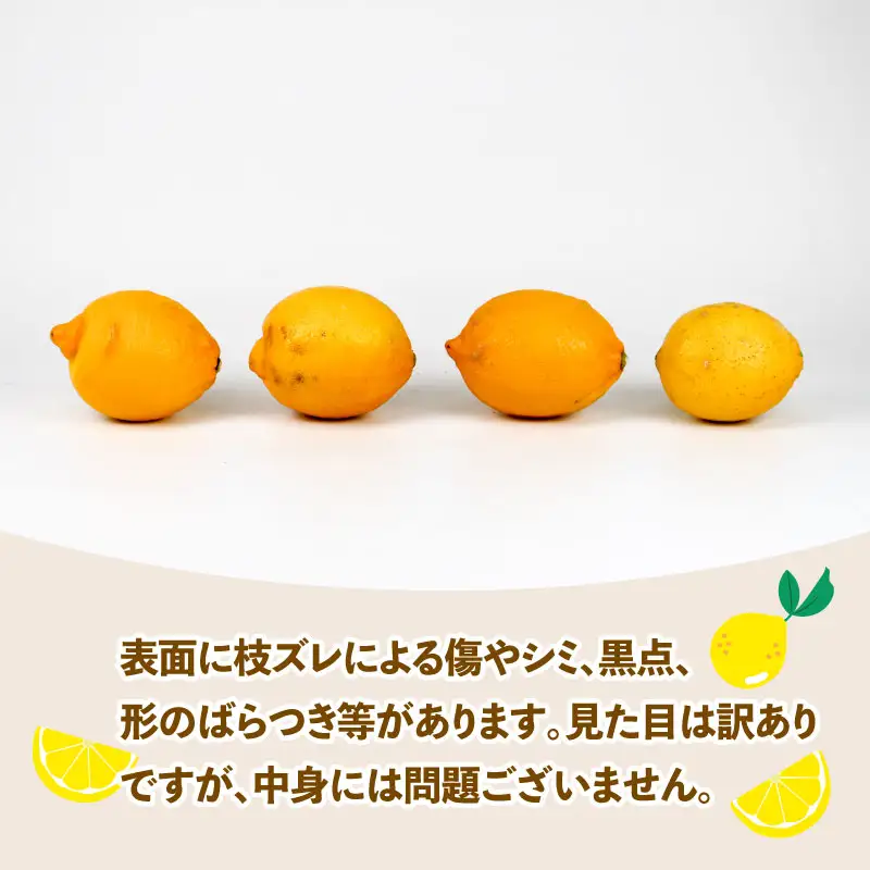 訳あり レモン 約 5kg スーパー山田屋 わけあり れもん 檸檬 レモン果汁 酸味 爽やか 果実 サワー ジュース チューハイ remon 果物 くだもの ビタミン フルーツ 柑橘 産地直送 数量限定 国産 愛媛 宇和島 B010-198011