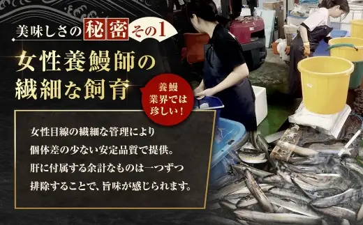 【 珍味 】 めぐみうなぎの肝 お酒のおつまみ 50g × 5パック うなぎ 鰻 ウナギ 魚類 晩ごはん 惣菜 おかず 贅沢 冷凍 国産 大阪府産 養殖 無投薬 酒肴