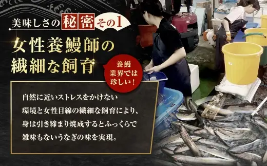 【7月13日までの入金確認で土用の丑の日までにお届け】めぐみうなぎ ちょこっと贅沢 セット 【 蒲焼 （ ひつまぶし ） × 2 ／ 白焼き （ ひつまぶし風 ） × 2 ／ 肝 × 2 】 うなぎ 鰻 ウナギ 魚類 うな重 うな丼 晩ごはん 惣菜 おかず 贅沢 冷凍 国産 大阪府産 養殖 無投薬