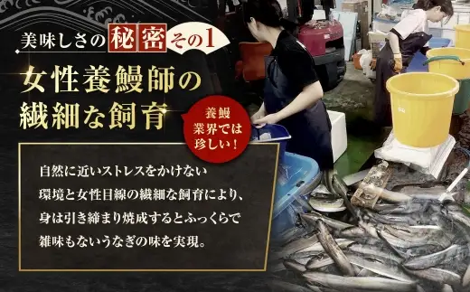 【7月13日までの入金確認で土用の丑の日までにお届け】うなぎかば焼き ひつまぶし 5パック うなぎ 鰻 ウナギ 魚類 うな重 うな丼 晩ごはん 惣菜 おかず 贅沢 冷凍 国産 大阪府産 養殖 無投薬