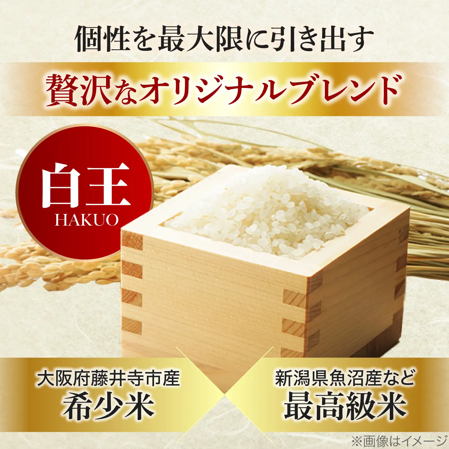 【全3回定期便】 お米 白王(HAKUO)5kg / 米 コメ こめ お米 おこめ ご飯 ごはん ゴハン オリジナル米 ブランド米 白米 精米 魚沼 魚沼産 魚沼市 大阪府 藤井寺市 お米マイスター 国産 炊き込みご飯 おにぎり お弁当 人気 おすすめ / 大阪府藤井寺市/桝田米穀店[BLAZ005]