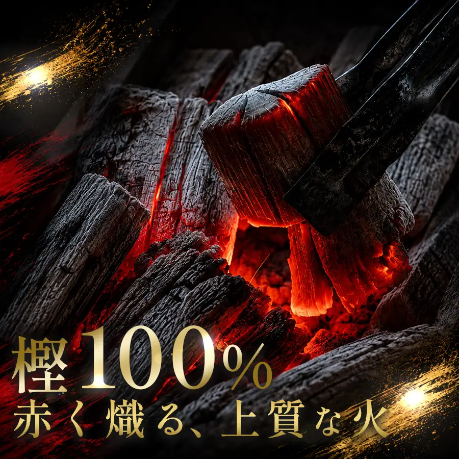 カシ黒炭 4.8kg 国産 黒炭 木炭 BBQ バーベキュー 土佐 ウバメガシ産地 樫100% 炭 火持ち 高火力 長時間燃焼 煙が出にくい 火付きが良い 七輪 火鉢 キャンプ アウトドア 炭火焼き 焼肉 お花見 業務用 高知県 大月町