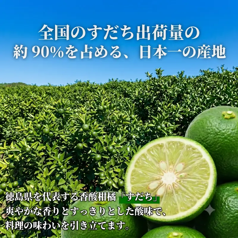 先行予約 【12月中旬～2月中旬まで順次発送】すだち 貯蔵 1kg 柑橘