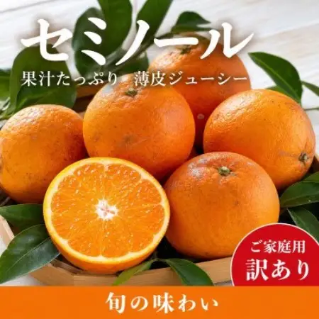 【ご家庭用訳あり】ジューシー柑橘　セミノールオレンジ　5kg【配送不可地域：離島】【1745645】
