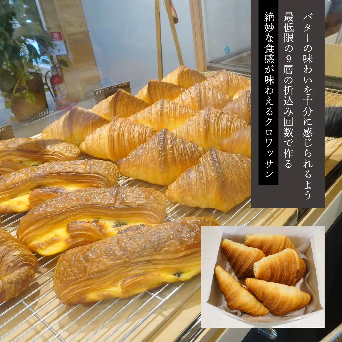 【日本テレビ系列「ZIP!」紹介】日本人初 フランス名門料理学校FERRANDI卒業シェフが手掛ける 南アルプスの天然水と100％発酵バター使用 ホテルクロワッサン ALPFQ001