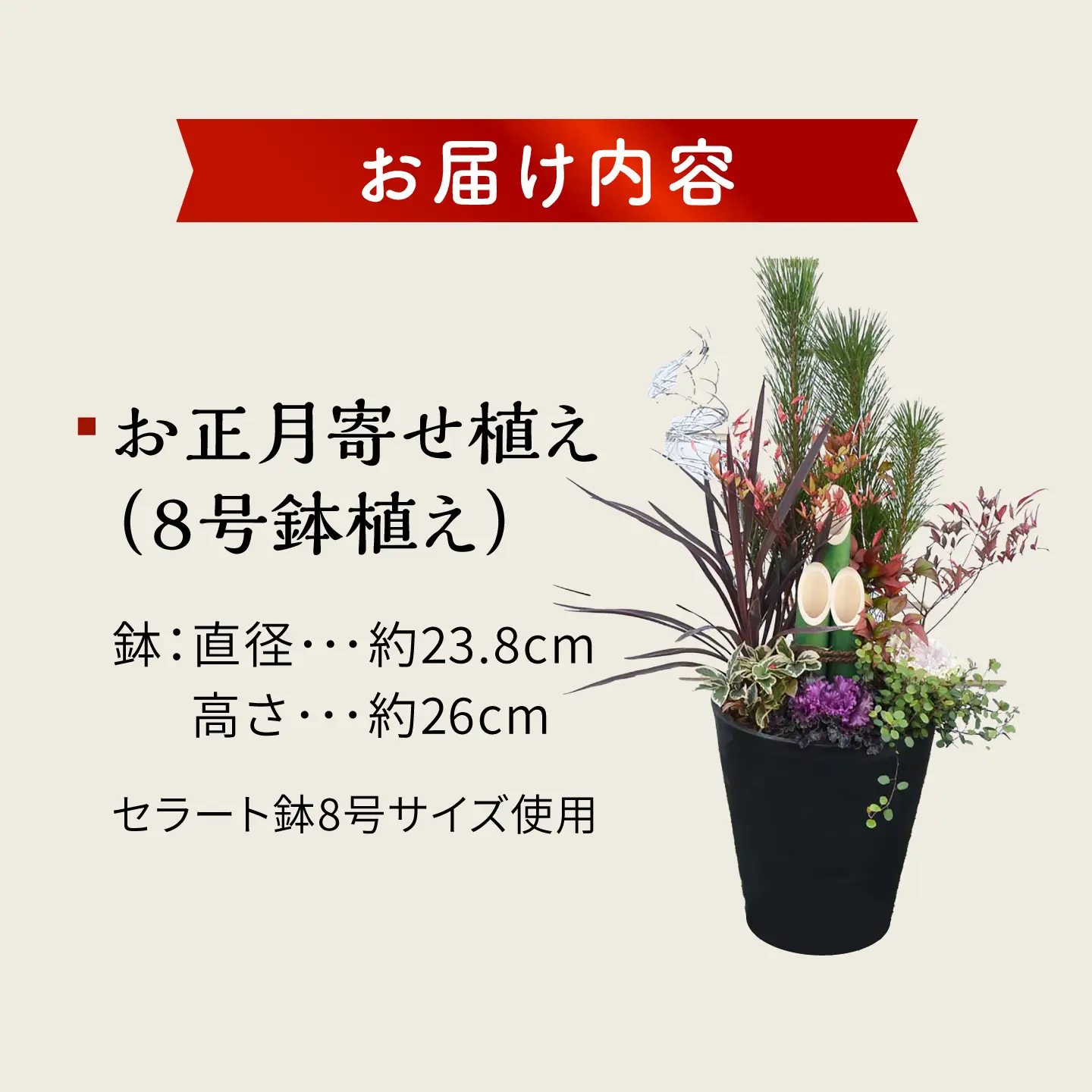 【先行予約】お正月寄せ植え 大村市 アトリウム琴花園/縁起物 年末年始 お正月飾り 門松 お正月 記念 お祝い インテリア[ACZZ013]