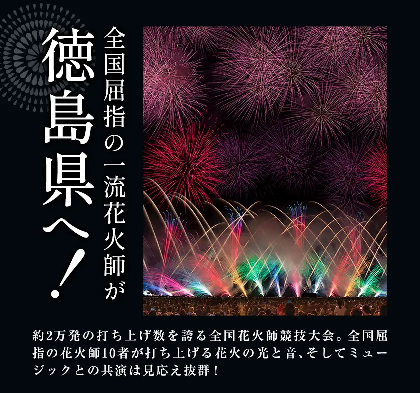 にし阿波の花火 10人マスシート 花火