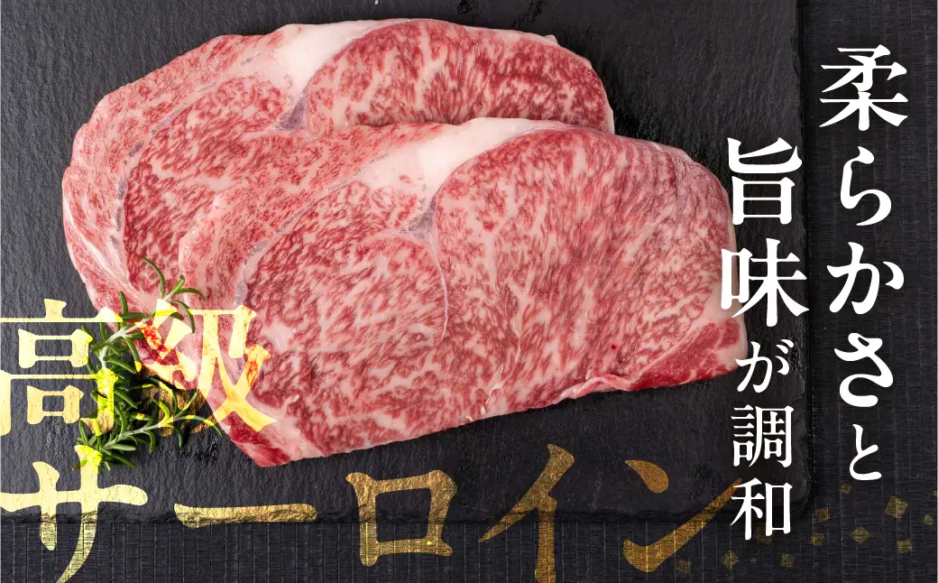 飛騨牛 サーロインステーキ 500g(250g×2)| ステーキ