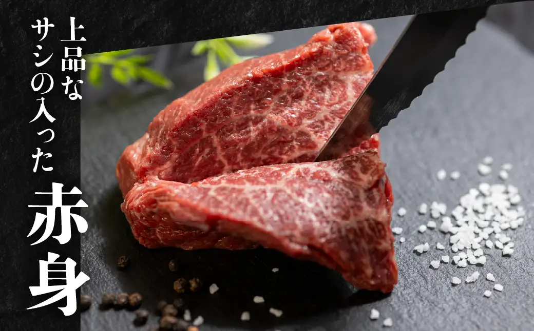飛騨牛 ブロック 肉 500g 肉 