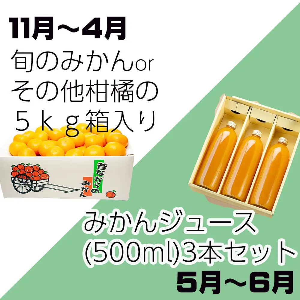 ［定期便 全8回］和歌山県鈴木農園産 旬のフルーツ定期便