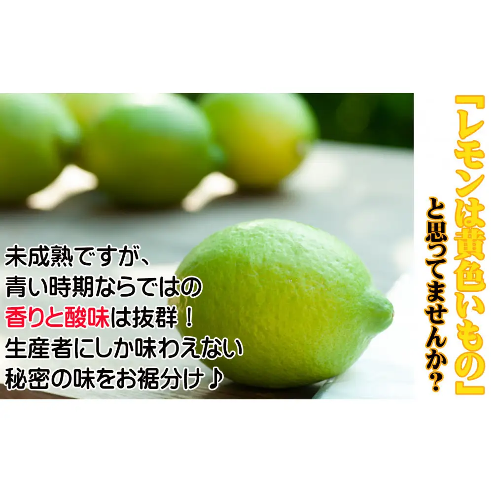レモン 約3kg 大小混合サイズ 11月～2月に鈴木みかん農園より農園直送！ 青いレモン 黄色いレモン ※北海道・沖縄・離島への配送不可