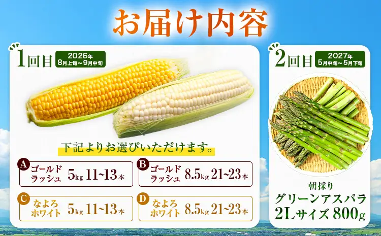 定期便 全2回 旬の夏野菜セット とうもろこし アスパラ 北海道名寄市《2026年8月上旬-2027年5月下旬頃出荷》