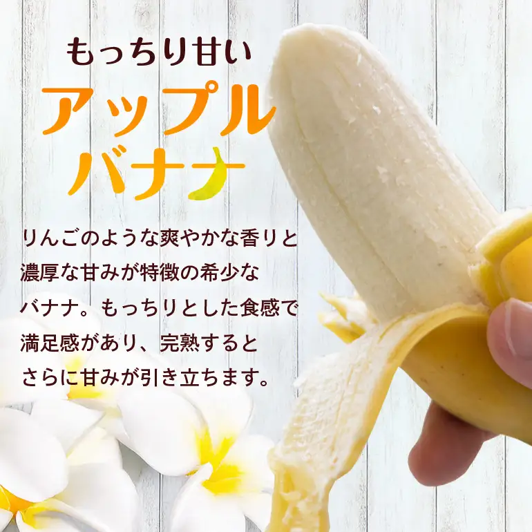 アップルバナナ1～1.2kg 194-5